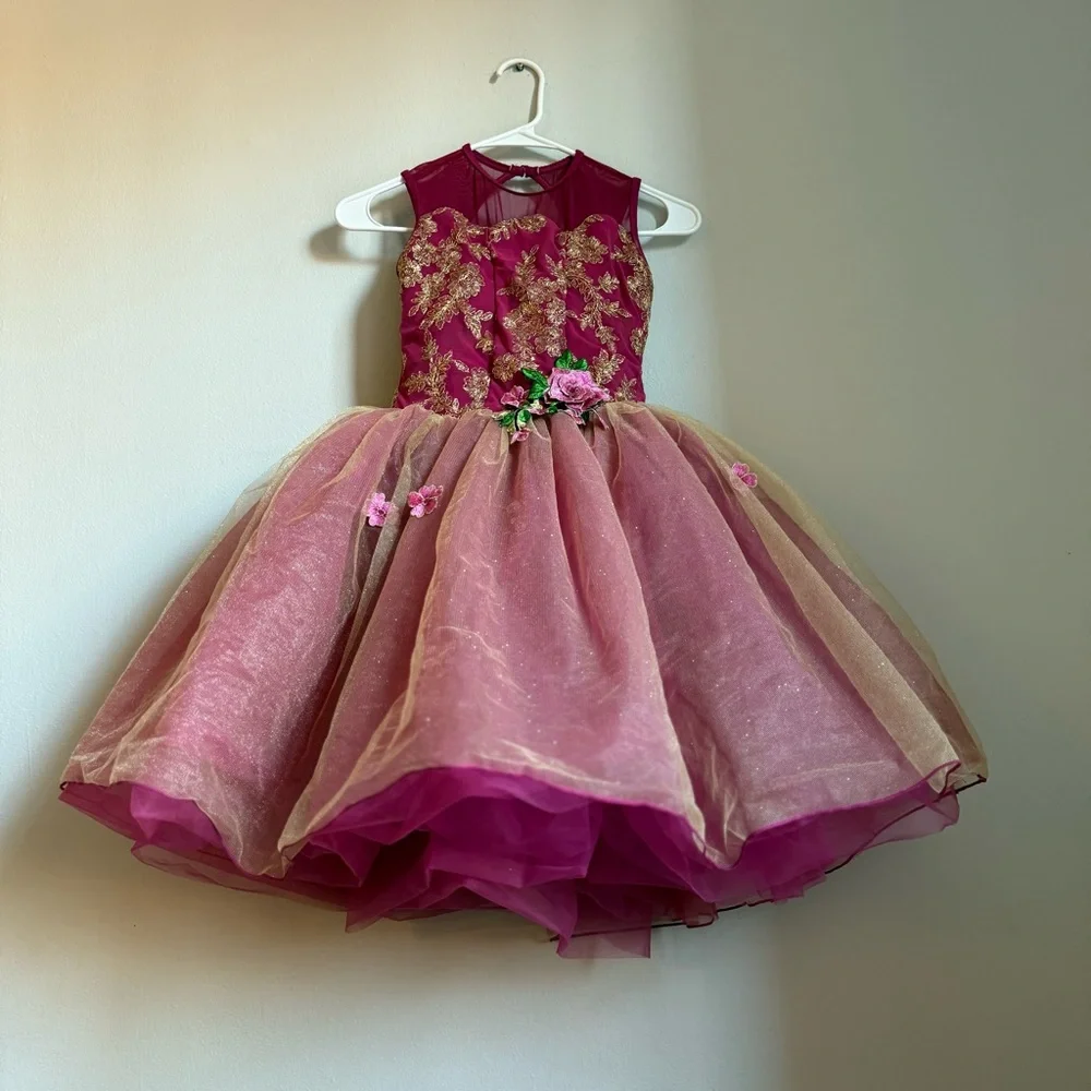 Revolution Dress Dancewear Girls Wine Gold Dance Costume Tulle Child Large LC